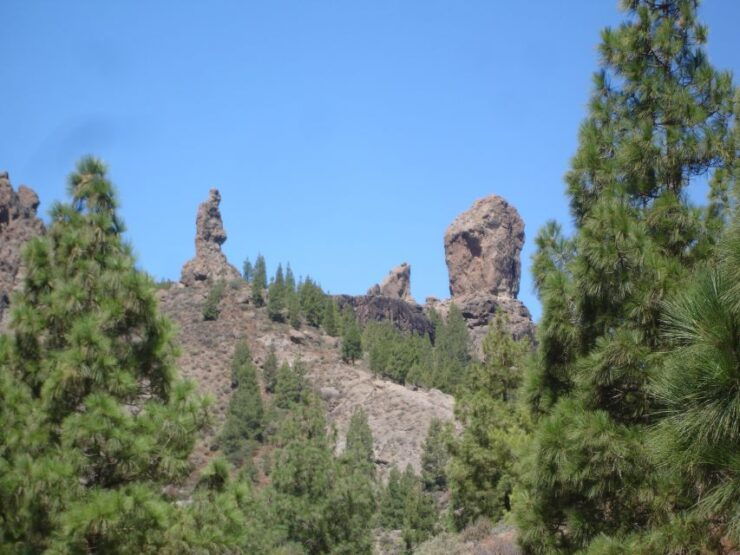 From Palmas: Pico De Las Nieves & Roque Nublo Full-Day Trip - Activity Details
