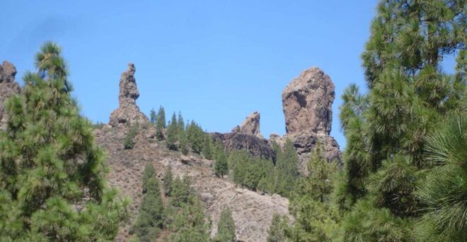 From Palmas: Pico De Las Nieves & Roque Nublo Full-Day Trip - Full Description