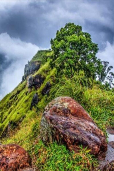 From - Panadura / Wadduwa / Waskaduwa Day Trip To Ella - Frequently Asked Questions