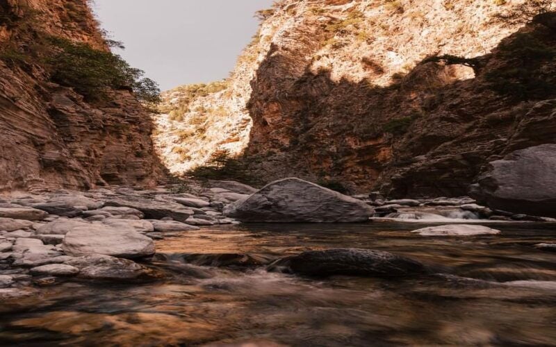 From Panormo or Lavris: Samaria Gorge Hike with Guide - Authentic Insights from Reviewers