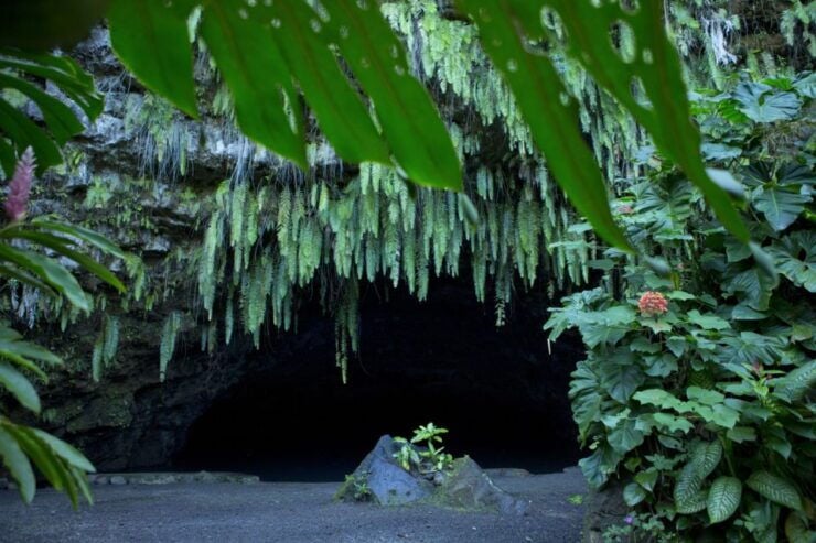 From Papeete: Tahiti Highlights Full-Day Private Tour - Dive Into Island Nature