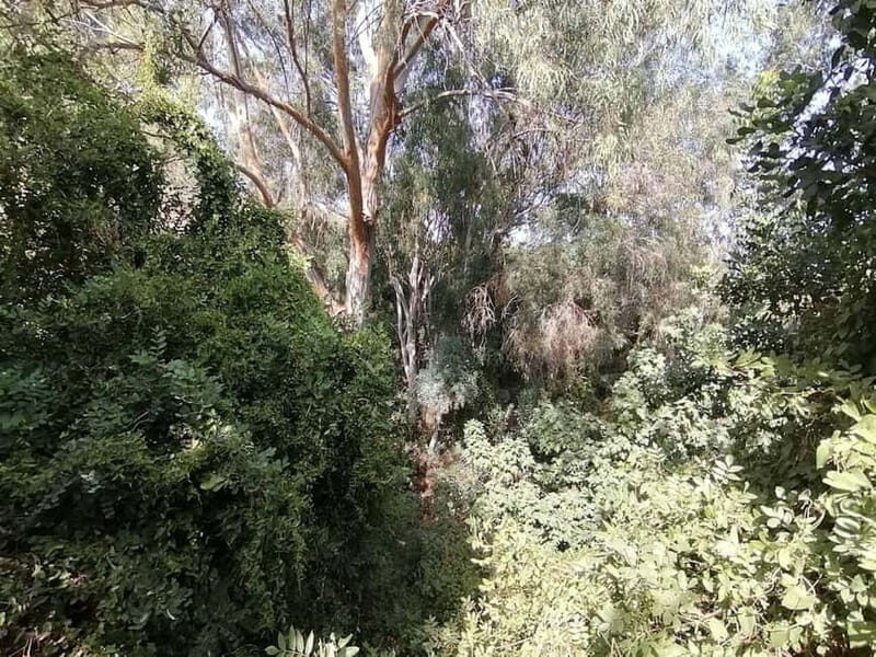 From Paphos: Baths of Aphrodite, Latchi & Blue Lagoon Cruise - FAQ