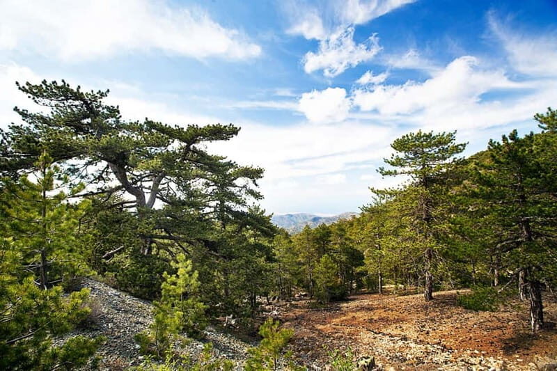 From Paphos: Caledonia Waterfalls Walking Tour with Lunch - Introduction: A Nature Escape Near Paphos