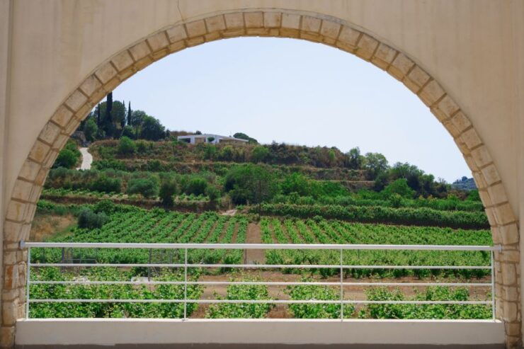 From Paphos: Cyprus Highlights Tour W/ Blue Lagoon Boat Trip - Experience Highlights