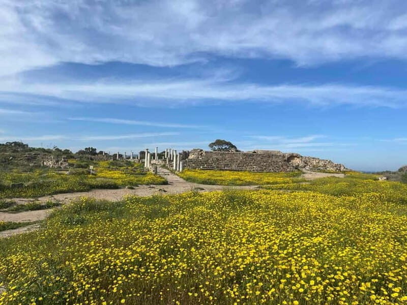 From Paphos: Famagusta, Salamis, and Varosha Walking Tour - Final Thoughts