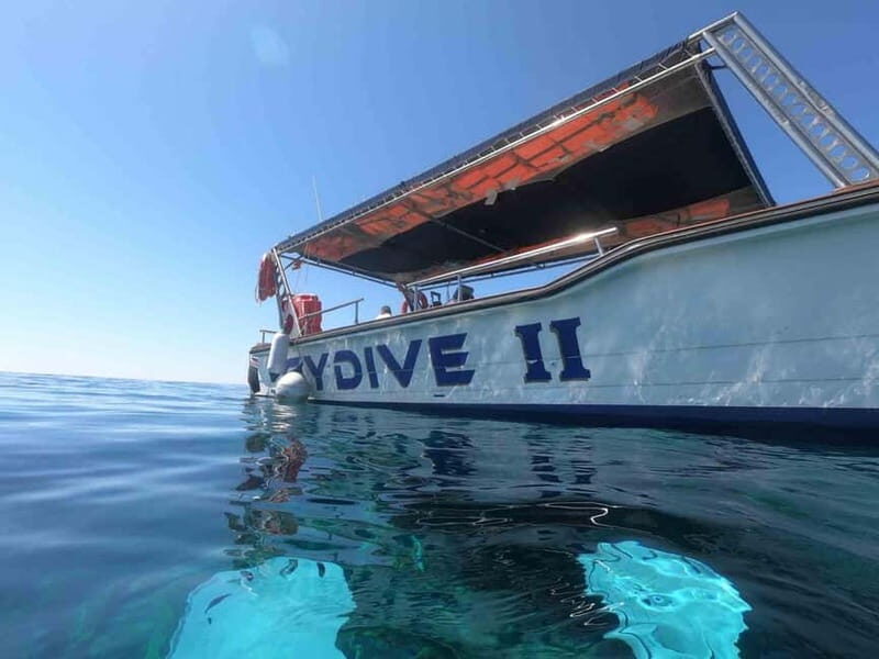 FROM PAPHOS: Snorkeling at Moulia Rocks (boat) - Detailed Breakdown of the Experience