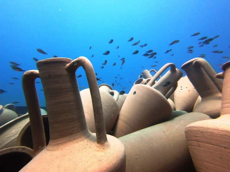 FROM PAPHOS: Snorkeling at the Marine Park (shore) - Introduction: What to Expect from the Snorkeling Adventure in Paphos