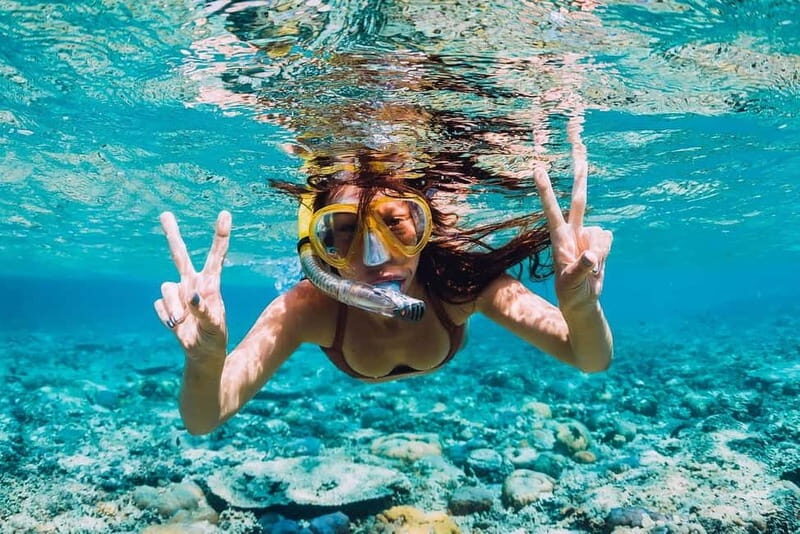 FROM PAPHOS: Snorkeling at the Marine Park (shore) - Pricing and Value