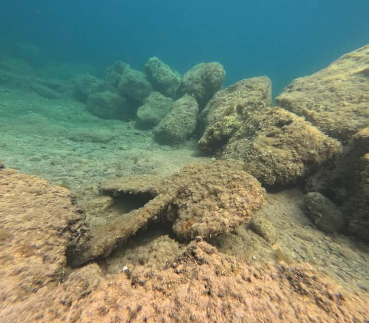FROM PAPHOS: Snorkeling at the Marine Park (shore) - Practical Details and Tips