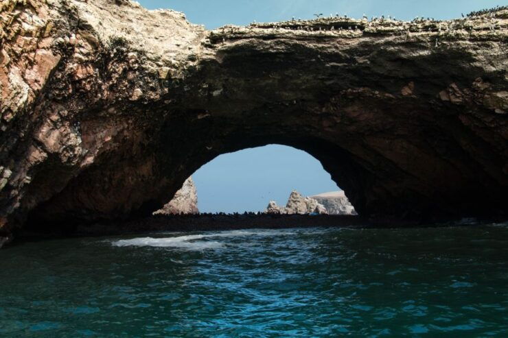 From Paracas: Ballestas Island Marine Wildlife Watching - Reservation Information