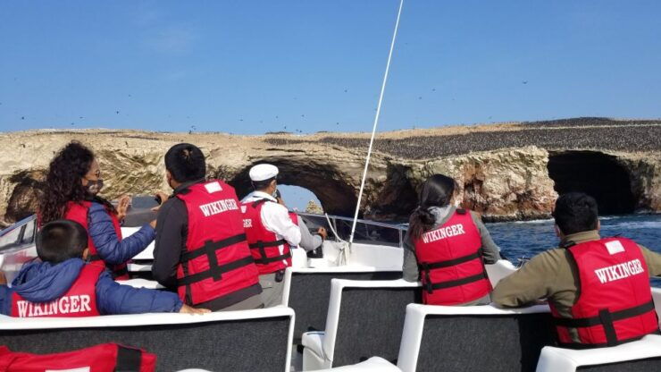 From Paracas: Ballestas Island Marine Wildlife Watching - Activity Details