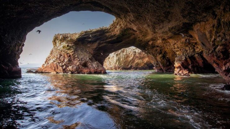 From Paracas: Ballestas Islands Guided Tour - Booking Details and Logistics