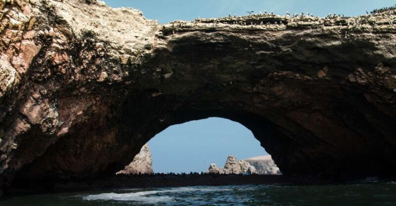 From Paracas: Ballestas Islands tour all Inclusive - An Overview of the Tour Experience