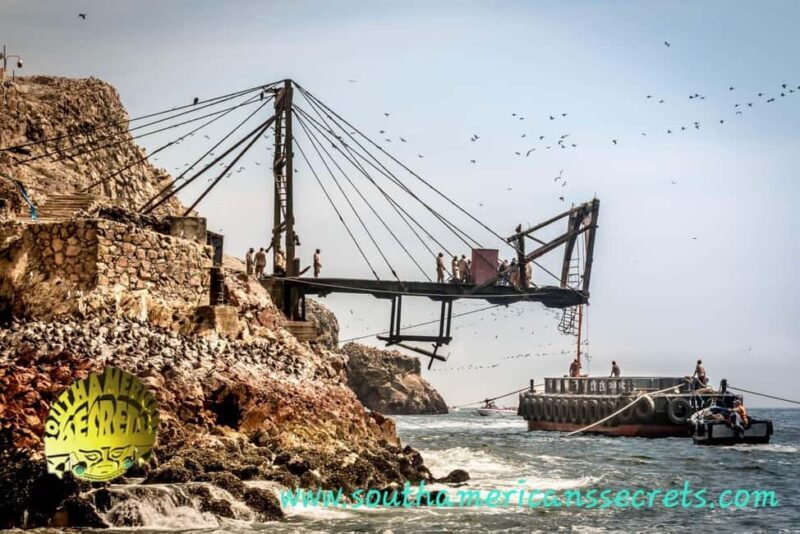 From Paracas: Ballestas Islands tour all Inclusive - Practical Tips for Travelers