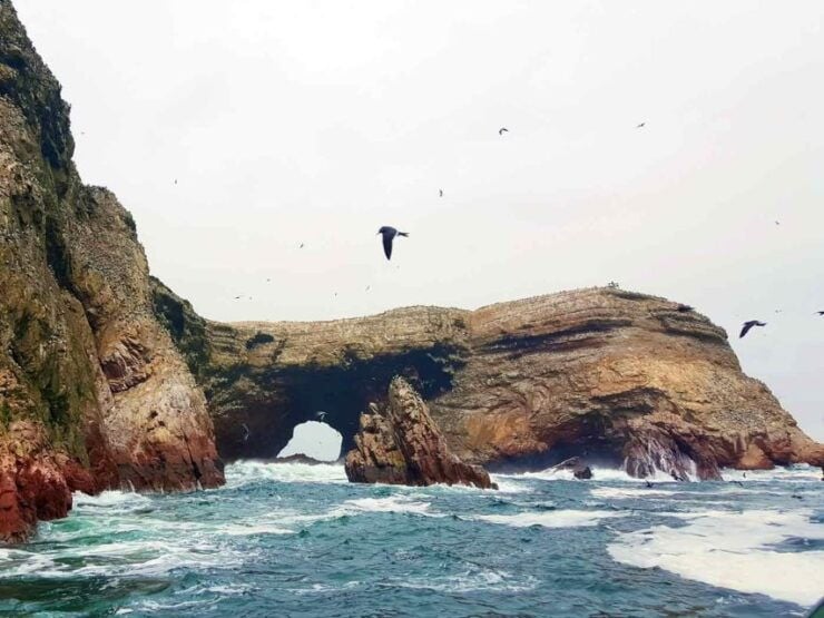 From Paracas Buggy Ride in the Southern Paracas Desert - Booking Details