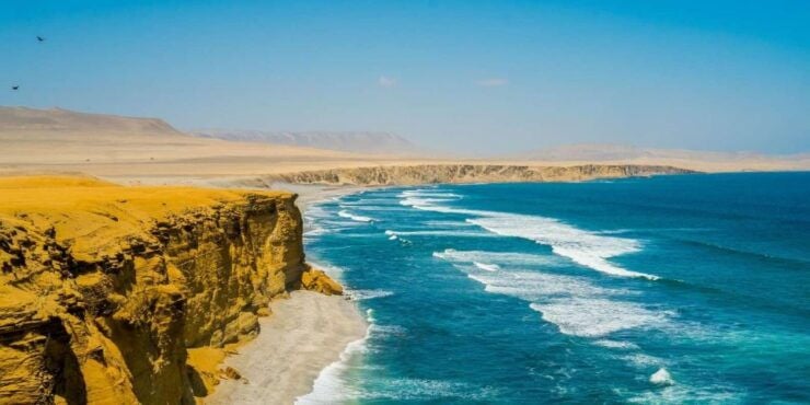 From Paracas Buggy Ride in the Southern Paracas Desert - Inclusions