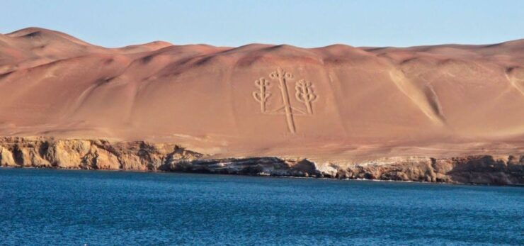 From Paracas Excursion to the Ballestas Islands 3 Hours - Good To Know