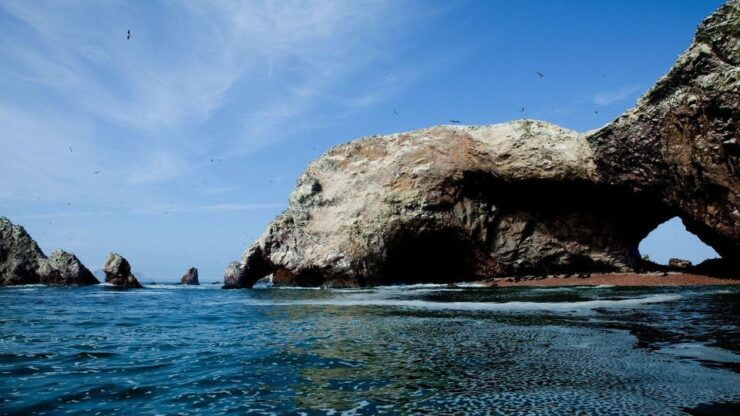 From Paracas Excursion to the Ballestas Islands 3 Hours - Experience Highlights