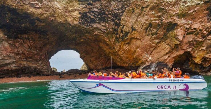From Paracas: Guided Boat Tour to the Ballestas Islands - Tour Highlights