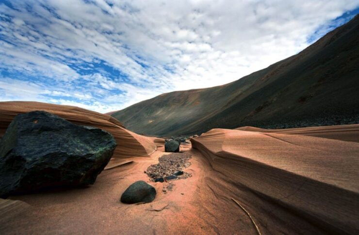 From Paracas/Ica: Canyon of the Lost Guided Day Trip - Experience Highlights