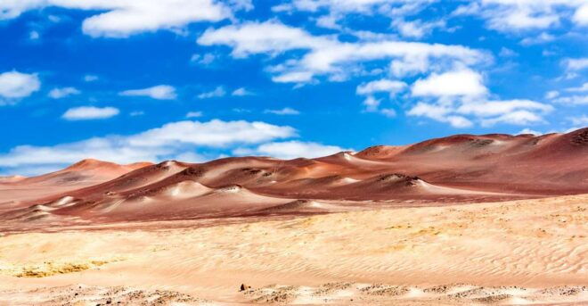 From Paracas: Paracas National Reserve Private Tour - Experience Highlights at Paracas Reserve