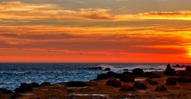 From Paracas-Sunset Trekking in the Paracas National Reserve - Good To Know