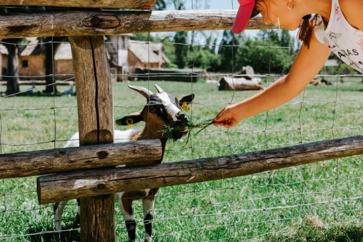 From Paris: Bike Tour to Versailles With Timed Palace Entry - Experience Highlights