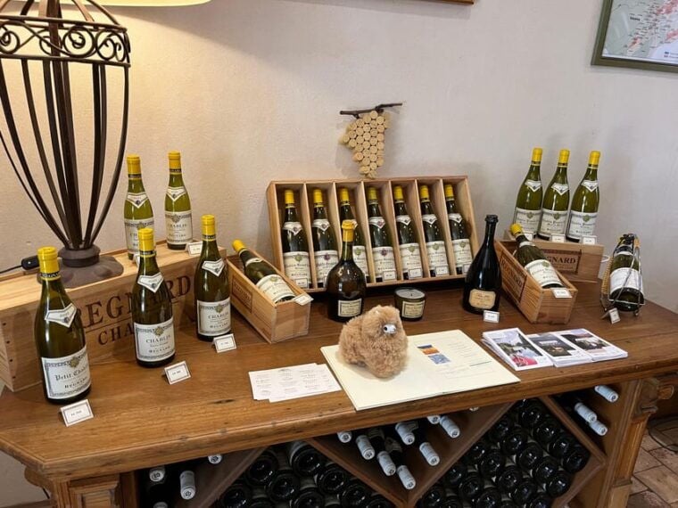 From Paris: Burgundy Chablis Wine & Cheese Tasting Day Trip - Essential Travel Tips