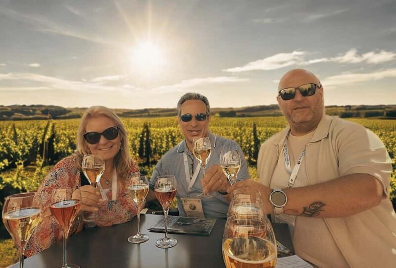 From Paris: Champagne Cellars and Vineyards Tour and Tasting - A Day in the Champagne Region: What to Expect