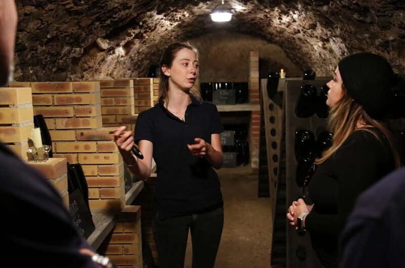 From Paris: Champagne Day Trip with 7 Tastings and Lunch - A Well-Balanced Day Trip from Paris