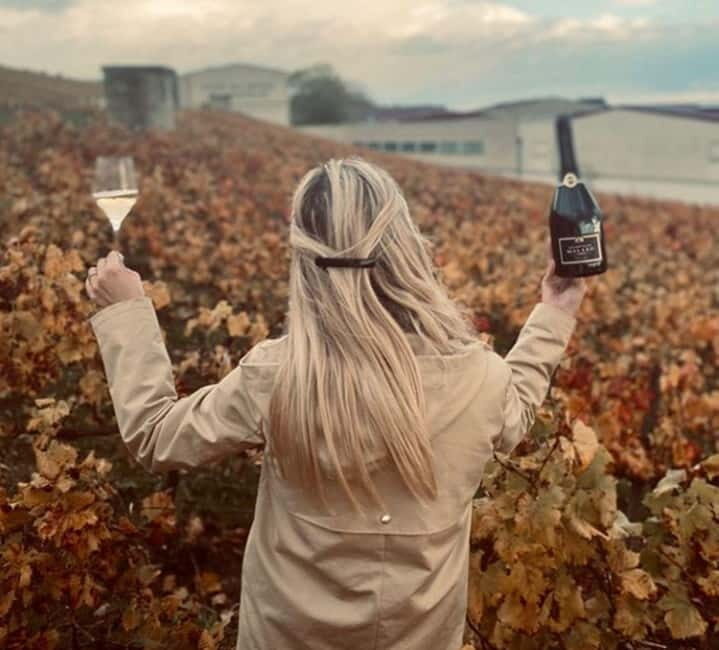 From Paris: Champagne Day Trip with 7 Tastings and Lunch - Frequently Asked Questions