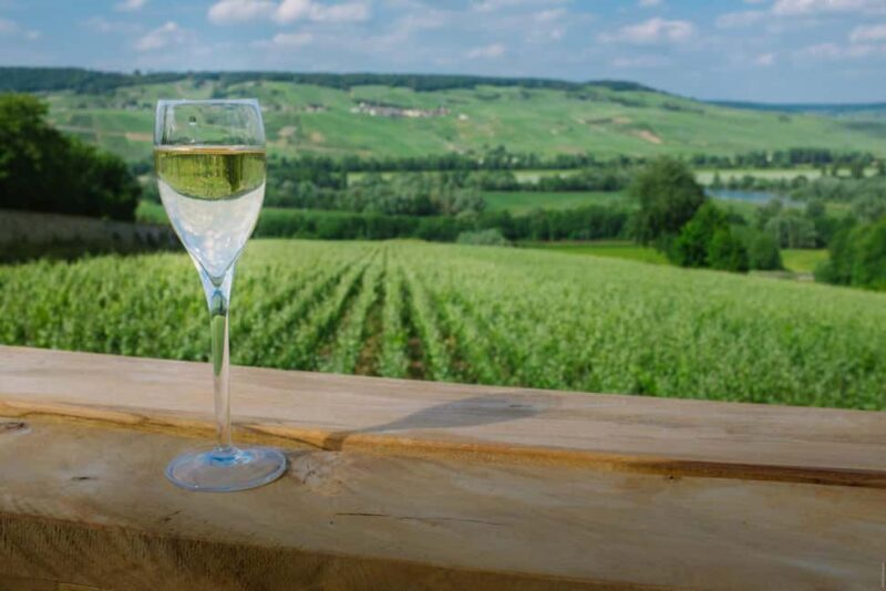 From Paris: Champagne Day Trip with 7 Tastings and Lunch - Final Thoughts