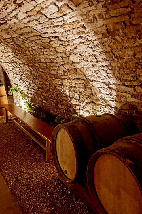 From Paris: Champagne, Gastronomy and Culture - Itinerary Breakdown
