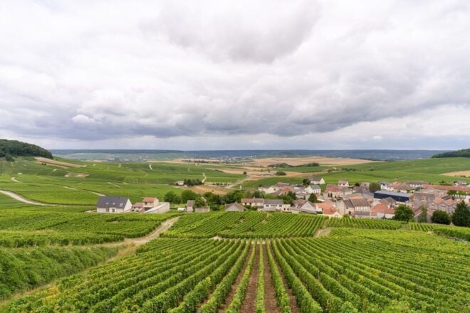 From Paris: Day Trip to Champagne With 8 Tastings & Lunch - Tour Itinerary