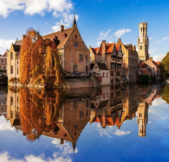 From Paris: Day Trip to the Enchanting Brussels and Bruges - Tour Features and Accessibility