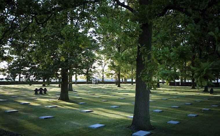 From Paris: Flanders Fields Private Day Trip - Highlights of Flanders Fields