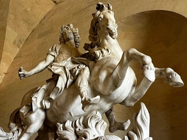 From Paris: FULL DAY Versailles Palace - Private Guided Tour - Accessibility Options