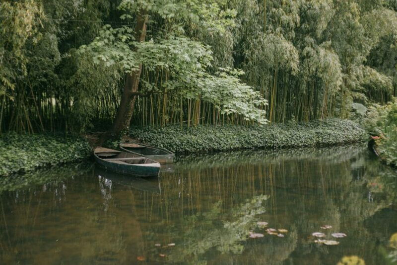 From Paris: Half Day Giverny Monets Gardens Tour - Highlights of Claude Monets Gardens