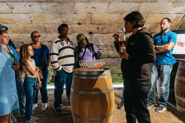 From Paris: Loire Valley Castles Day Trip With Wine Tasting - Château De Chambord: a Fairytale Castle