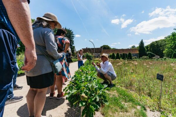 From Paris: Loire Valley Castles Day Trip With Wine Tasting - Common Questions