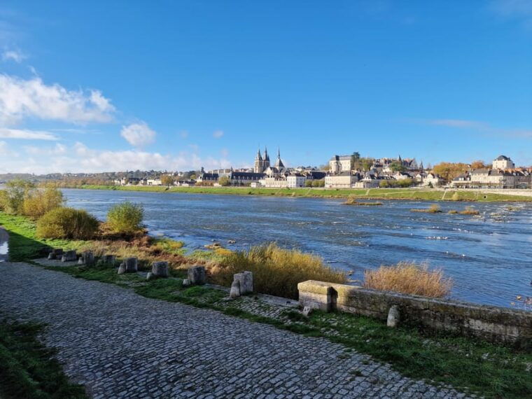 From Paris: Loire Valley Chambord Castle and Wine Tasting - Wine Tasting Experience