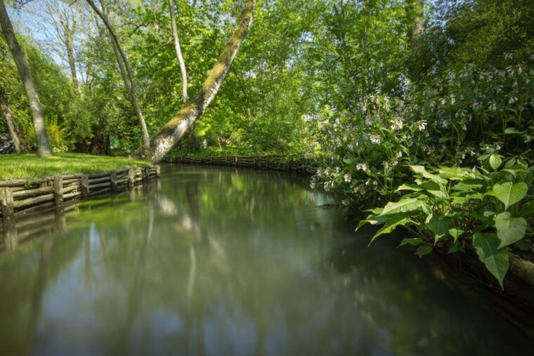 From Paris: Monet Garden & Giverny Bike Tour and Picnic Stop - What to Bring