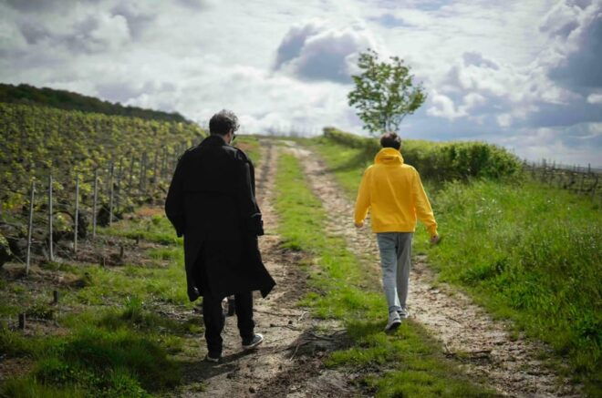 From Paris: Not Your Average Champagne Tour - Champagne Regions Explored