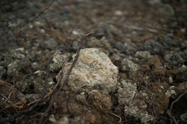 From Paris: Not Your Average Champagne Tour - Booking Information