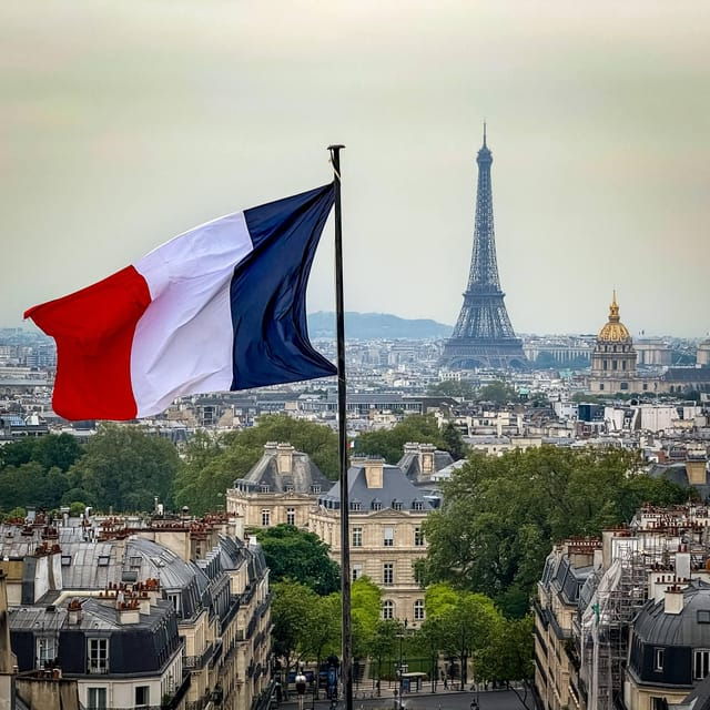 From Paris : Paris & Louvre Museum - Private Tour - Accessibility Features