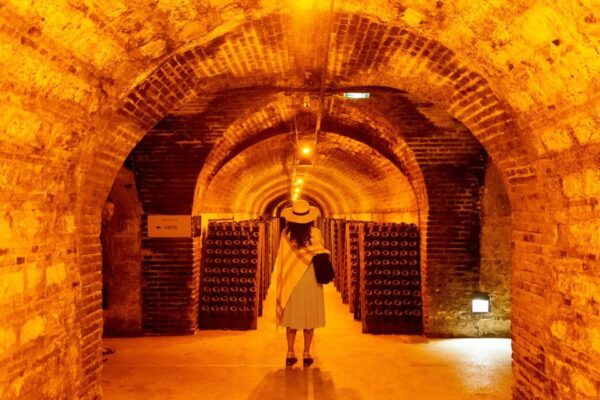 From Paris: Prestige Champagne Tour and Tastings - Exploring Hautvillers and Dom Perignons Abbey