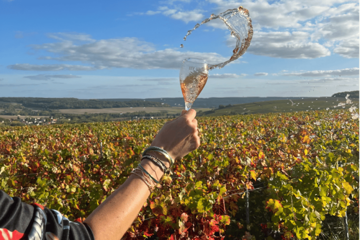From Paris: Private Sancerre Wine Tour W 10 Tastings & Lunch - Key Points