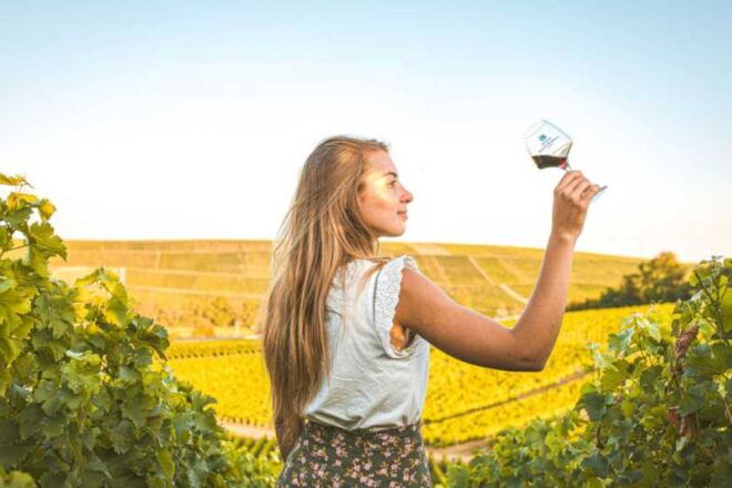 From Paris: Private Sancerre Wine Tour W 10 Tastings & Lunch - Wine Tasting Experience