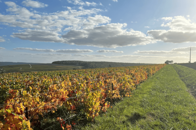 From Paris: Private Sancerre Wine Tour W 10 Tastings & Lunch - Culinary Delights