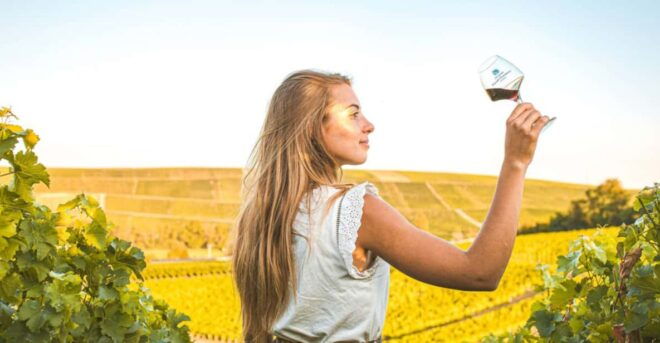 From Paris: Private Sancerre Wine Tour W 10 Tastings & Lunch - Scenic Views and Attractions
